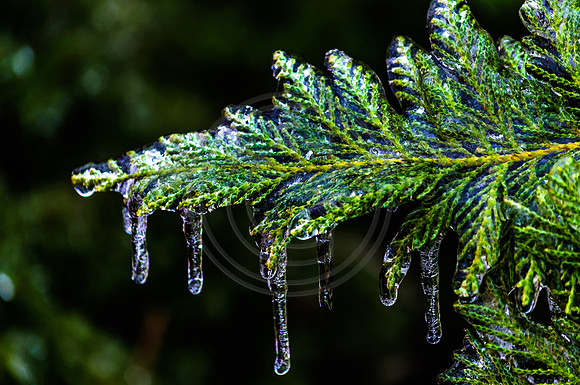 Jupiter Ice Storm- Friday 13, 2017 (c)PicsbyJax whatisee shootandediteveryday picsbyjax-0147.jpg