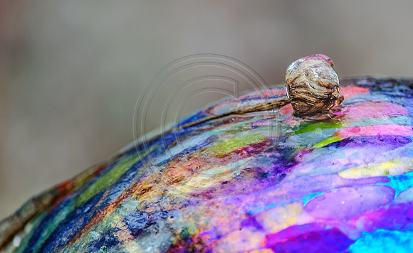 Jupiter Ice Storm- Friday 13, 2017 (c)PicsbyJax whatisee shootandediteveryday picsbyjax-0092-HDR.jpg