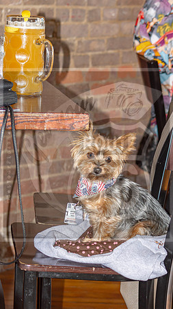 Birthplace of Route 66 Festival 2024 © Pics by Jax-1801.jpg