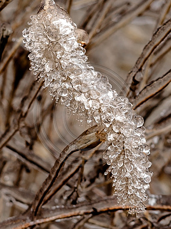 Jupiter Ice Storm- Friday 13, 2017 (c)PicsbyJax whatisee shootandediteveryday picsbyjax-0111.jpg