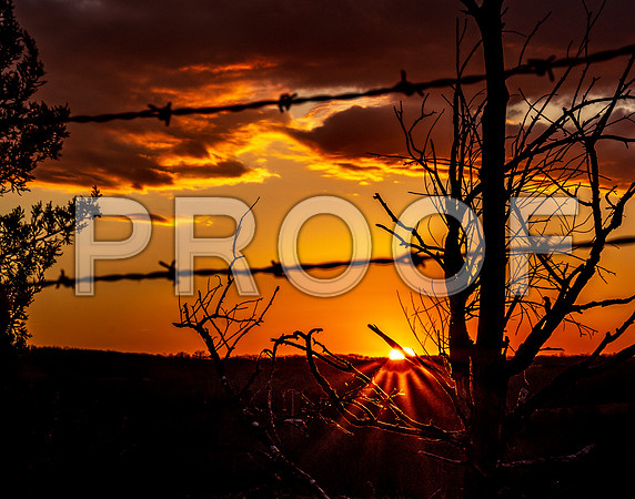 untitled-8314.jpg