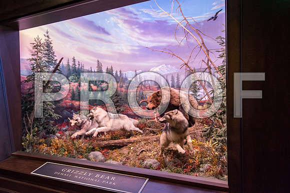 Wonders of Wildlife National Museum and Aquarium (C) PicsbyJax #wondersofwildlife #springfieldmo #picsbyjax -8925.jpg