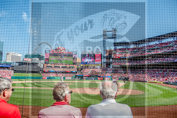 STL Cardinals v Cinncinati Reds @ Busch Stadium in Saint Louis, Missouri (c)2017PicsbyJax #saintlouiscardinals #cardinals #myfirstgame #picsbyjax  MO(c)2017PicsbyJax #history #wrinksmarket #lebanonmo