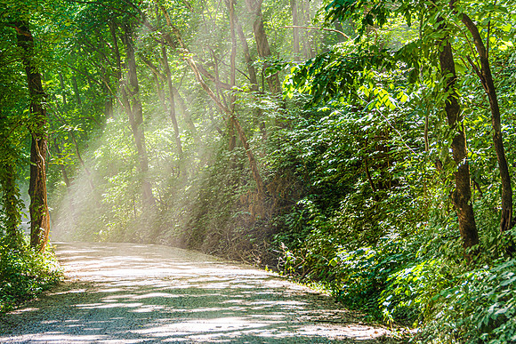 Pulaski County_JAX_3487.jpg