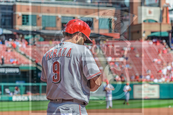 STL Cardinals v Cinncinati Reds @ Busch Stadium in Saint Louis, Missouri (c)2017PicsbyJax #saintlouiscardinals #cardinals #myfirstgame #picsbyjax  MO(c)2017PicsbyJax #history #wrinksmarket #lebanonmo
