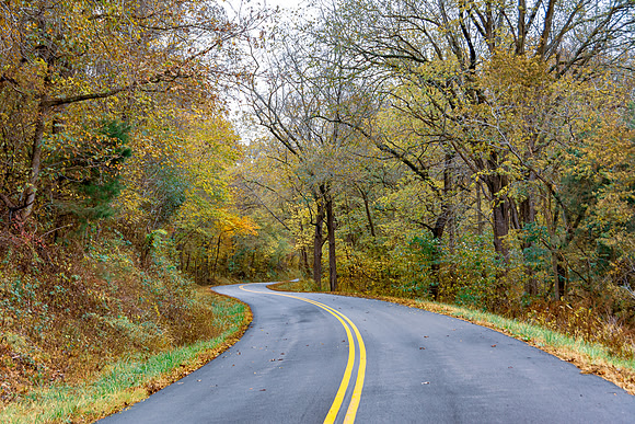 Fall 2020 © Pics by Jax-3385.jpg