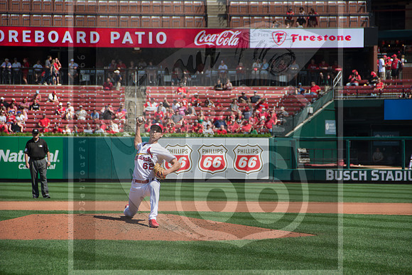 STL Cardinals v Cinncinati Reds @ Busch Stadium in Saint Louis, Missouri (c)2017PicsbyJax #saintlouiscardinals #cardinals #myfirstgame #picsbyjax  MO(c)2017PicsbyJax #history #wrinksmarket #lebanonmo