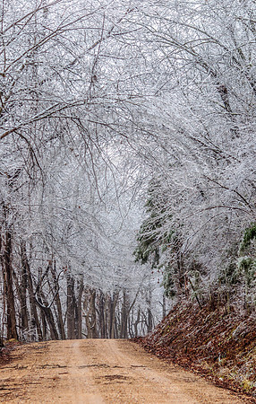Jupiter Ice Storm- Saturday 14, 2017 (c)PicsbyJax whatisee shootandediteveryday picsbyjax-0085.jpg