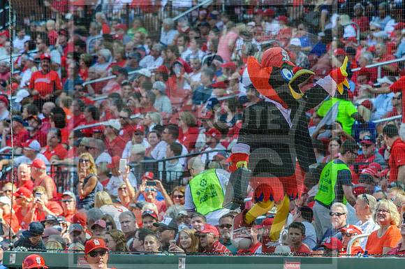 STL Cardinals v Cinncinati Reds @ Busch Stadium in Saint Louis, Missouri (c)2017PicsbyJax #saintlouiscardinals #cardinals #myfirstgame #picsbyjax  MO(c)2017PicsbyJax #history #wrinksmarket #lebanonmo