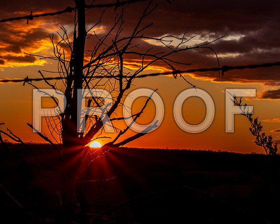 untitled-8310.jpg