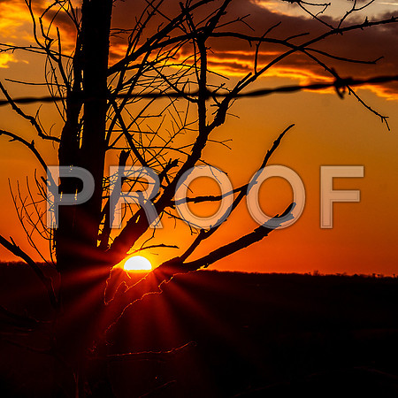 untitled-8311.jpg