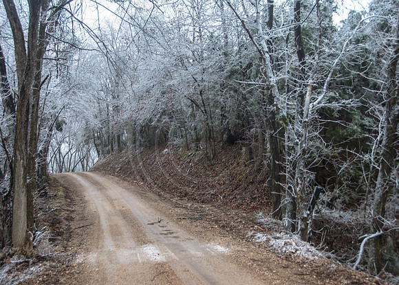Jupiter Ice Storm- Saturday 14, 2017 (c)PicsbyJax whatisee shootandediteveryday picsbyjax-5148.jpg