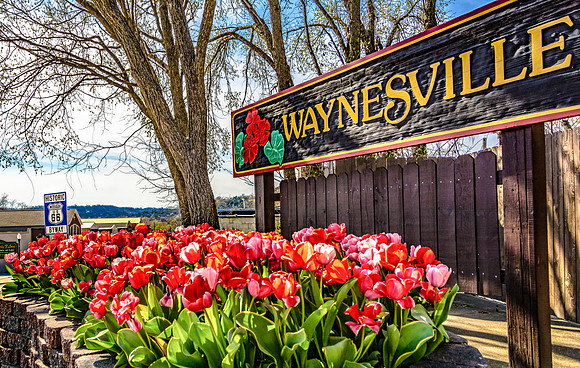 Waynesville Sign with Tulips - Waynesville, MO -7054.jpg
