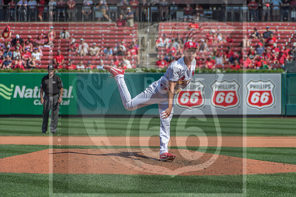 STL Cardinals v Cinncinati Reds @ Busch Stadium in Saint Louis, Missouri (c)2017PicsbyJax #saintlouiscardinals #cardinals #myfirstgame #picsbyjax  MO(c)2017PicsbyJax #history #wrinksmarket #lebanonmo