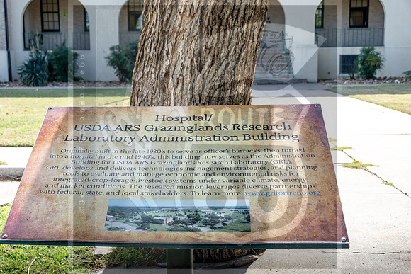 JAX_3804.jpg