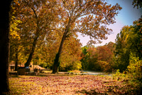 untitled-5548.jpg