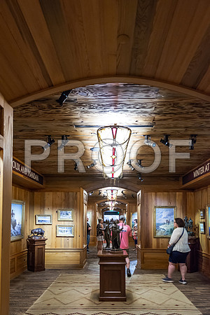 Wonders of Wildlife National Museum and Aquarium (C) PicsbyJax #wondersofwildlife #springfieldmo #picsbyjax -8912.jpg