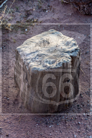 untitled-1641.jpg