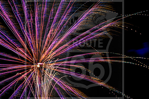 Richland Fireworks 2022 ©Pics by Jax-3701.jpg