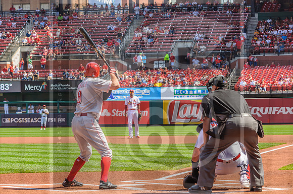 STL Cardinals v Cinncinati Reds @ Busch Stadium in Saint Louis, Missouri (c)2017PicsbyJax #saintlouiscardinals #cardinals #myfirstgame #picsbyjax  MO(c)2017PicsbyJax #history #wrinksmarket #lebanonmo