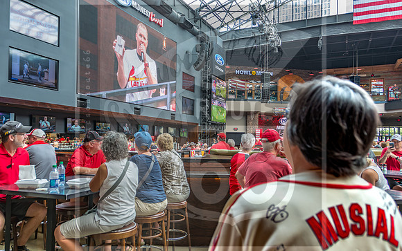 STL Cardinals v Cinncinati Reds @ Busch Stadium in Saint Louis, Missouri (c)2017PicsbyJax #saintlouiscardinals #cardinals #myfirstgame #picsbyjax  MO(c)2017PicsbyJax #history #wrinksmarket #lebanonmo