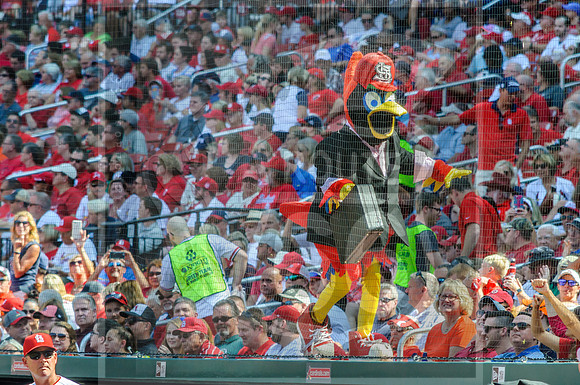 STL Cardinals v Cinncinati Reds @ Busch Stadium in Saint Louis, Missouri (c)2017PicsbyJax #saintlouiscardinals #cardinals #myfirstgame #picsbyjax  MO(c)2017PicsbyJax #history #wrinksmarket #lebanonmo