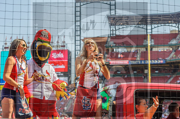 STL Cardinals v Cinncinati Reds @ Busch Stadium in Saint Louis, Missouri (c)2017PicsbyJax #saintlouiscardinals #cardinals #myfirstgame #picsbyjax  MO(c)2017PicsbyJax #history #wrinksmarket #lebanonmo