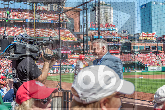 STL Cardinals v Cinncinati Reds @ Busch Stadium in Saint Louis, Missouri (c)2017PicsbyJax #saintlouiscardinals #cardinals #myfirstgame #picsbyjax  MO(c)2017PicsbyJax #history #wrinksmarket #lebanonmo