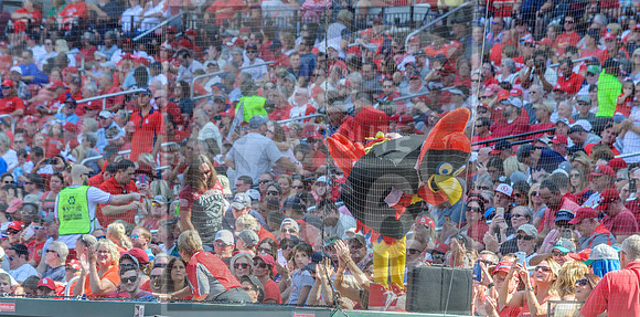 STL Cardinals v Cinncinati Reds @ Busch Stadium in Saint Louis, Missouri (c)2017PicsbyJax #saintlouiscardinals #cardinals #myfirstgame #picsbyjax  MO(c)2017PicsbyJax #history #wrinksmarket #lebanonmo