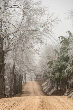 Jupiter Ice Storm- Saturday 14, 2017 (c)PicsbyJax whatisee shootandediteveryday picsbyjax-5065.jpg