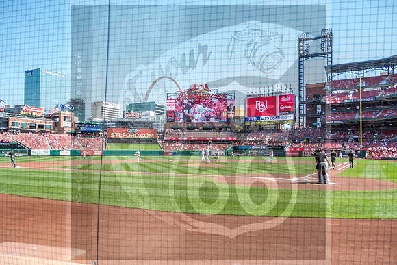 STL Cardinals v Cinncinati Reds @ Busch Stadium in Saint Louis, Missouri (c)2017PicsbyJax #saintlouiscardinals #cardinals #myfirstgame #picsbyjax  MO(c)2017PicsbyJax #history #wrinksmarket #lebanonmo