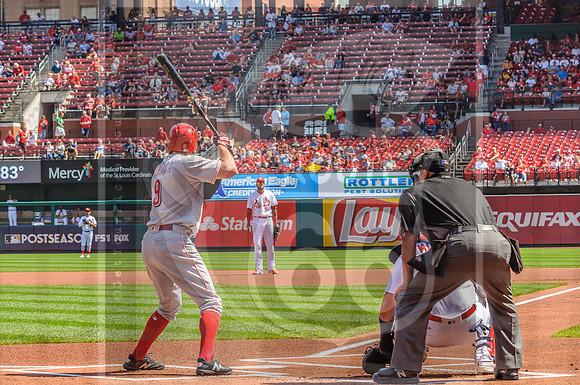 STL Cardinals v Cinncinati Reds @ Busch Stadium in Saint Louis, Missouri (c)2017PicsbyJax #saintlouiscardinals #cardinals #myfirstgame #picsbyjax  MO(c)2017PicsbyJax #history #wrinksmarket #lebanonmo