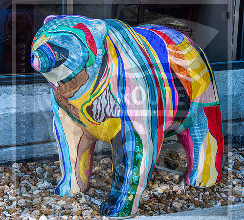Route 66- Birthplace Festival 2022 © Pics by Jax-4069.jpg