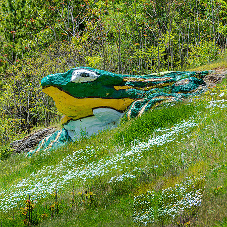 Waynesville, MO WH Croacker _Frog Rock_JAX_8975