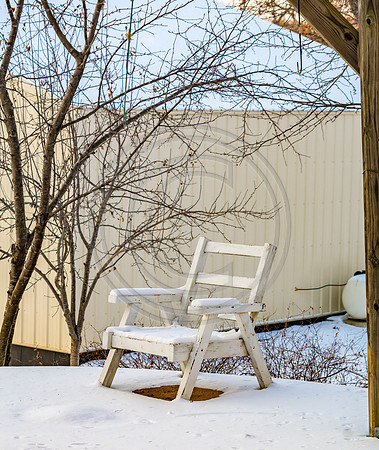 Snow Birds (c)PicsbyJax #snow #birds #wildlife #picsbyjax-0826.jpg