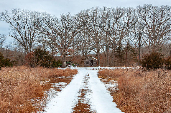 DSC_0240.jpg