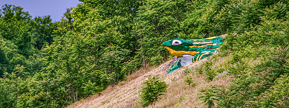 Waynesville Hill Croaker _6815.jpg