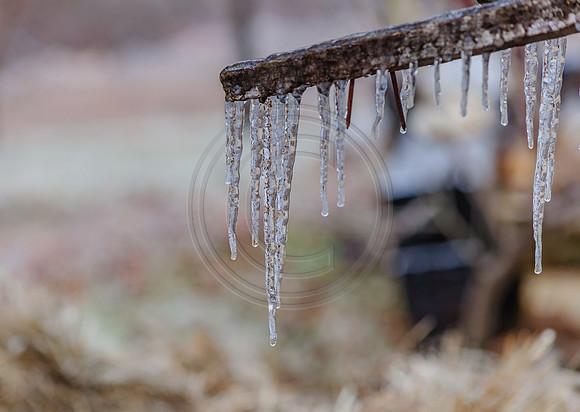 Jupiter Ice Storm- Friday 13, 2017 (c)PicsbyJax whatisee shootandediteveryday picsbyjax-0106.jpg