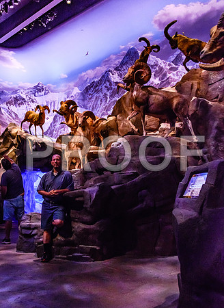 Wonders of Wildlife National Museum and Aquarium (C) PicsbyJax #wondersofwildlife #springfieldmo #picsbyjax -9014.jpg