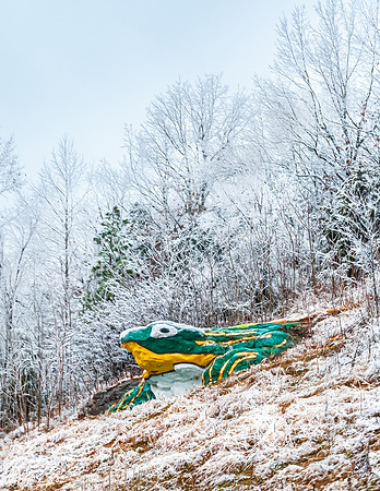 Waynesville W.H. Croaker (Frog Rock) © PicsbyJax-0068.jpg