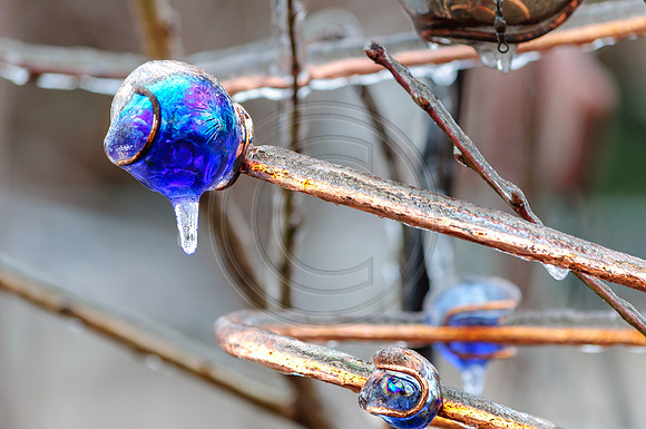 Jupiter Ice Storm- Friday 13, 2017 (c)PicsbyJax whatisee shootandediteveryday picsbyjax-0100-HDR.jpg