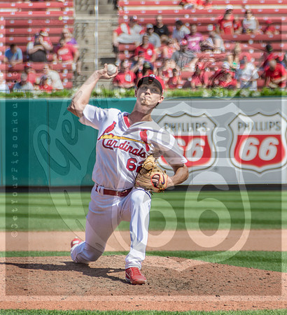 STL Cardinals v Cinncinati Reds @ Busch Stadium in Saint Louis, Missouri (c)2017PicsbyJax #saintlouiscardinals #cardinals #myfirstgame #picsbyjax  MO(c)2017PicsbyJax #history #wrinksmarket #lebanonmo