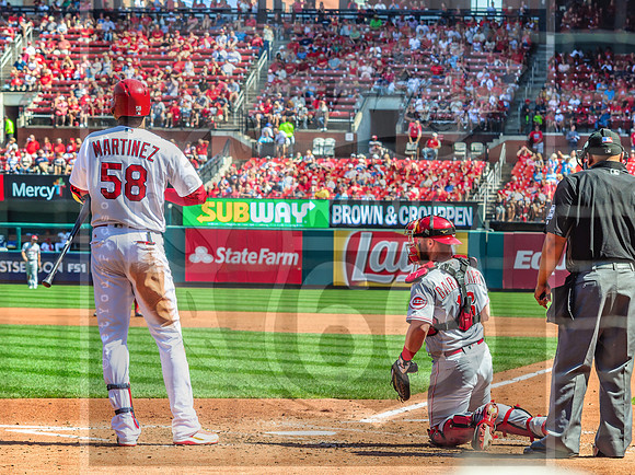 STL Cardinals v Cinncinati Reds @ Busch Stadium in Saint Louis, Missouri (c)2017PicsbyJax #saintlouiscardinals #cardinals #myfirstgame #picsbyjax  MO(c)2017PicsbyJax #history #wrinksmarket #lebanonmo