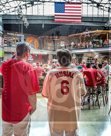 STL Cardinals v Cinncinati Reds @ Busch Stadium in Saint Louis, Missouri (c)2017PicsbyJax #saintlouiscardinals #cardinals #myfirstgame #picsbyjax  MO(c)2017PicsbyJax #history #wrinksmarket #lebanonmo