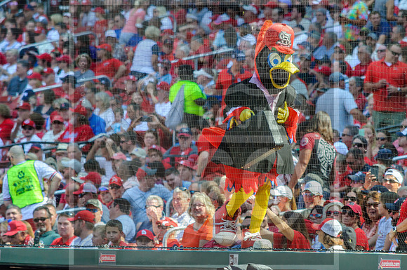 STL Cardinals v Cinncinati Reds @ Busch Stadium in Saint Louis, Missouri (c)2017PicsbyJax #saintlouiscardinals #cardinals #myfirstgame #picsbyjax  MO(c)2017PicsbyJax #history #wrinksmarket #lebanonmo
