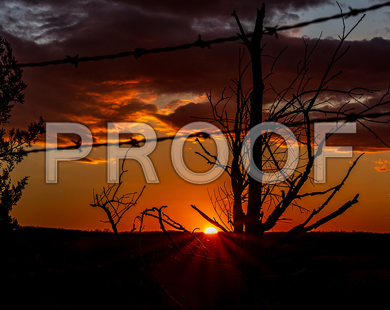 untitled-8312.jpg