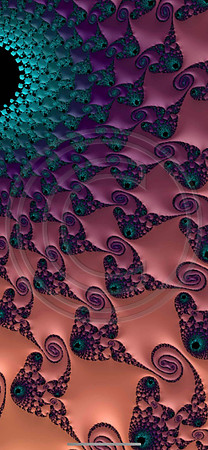 Tufted III