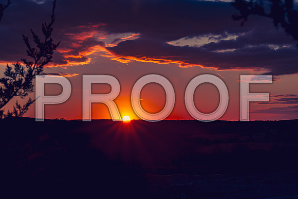 untitled-8309.jpg