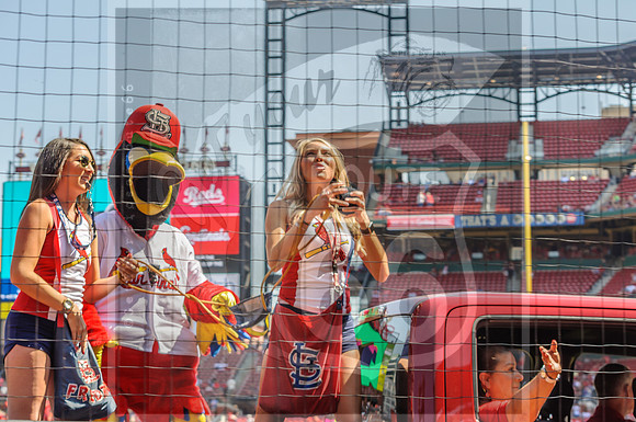 STL Cardinals v Cinncinati Reds @ Busch Stadium in Saint Louis, Missouri (c)2017PicsbyJax #saintlouiscardinals #cardinals #myfirstgame #picsbyjax  MO(c)2017PicsbyJax #history #wrinksmarket #lebanonmo
