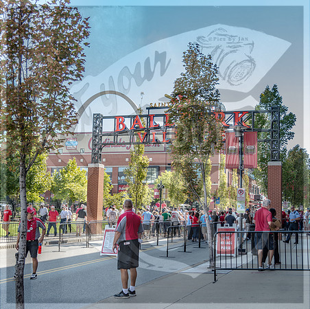 STL Cardinals v Cinncinati Reds @ Busch Stadium in Saint Louis, Missouri (c)2017PicsbyJax #saintlouiscardinals #cardinals #myfirstgame #picsbyjax  MO(c)2017PicsbyJax #history #wrinksmarket #lebanonmo